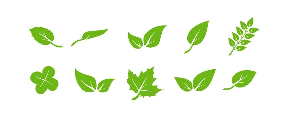 Green leaf icons set. Elements design for natural, eco, vegan. Leaves icon on 스톡 일러스트