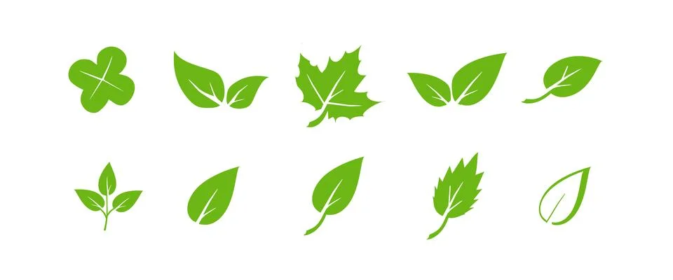 Green leaf icons set. Elements design for natural, eco, vegan. Leaves icon on 스톡 일러스트