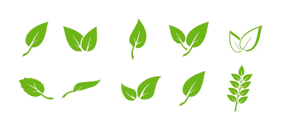 Green leaf icons set. Elements design for natural, eco, vegan. Leaves icon on Ilustración de archivo