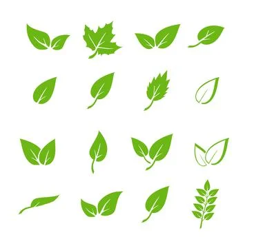 Green leaf icons set. Elements design for natural, eco, vegan. Leaves icon on 스톡 일러스트