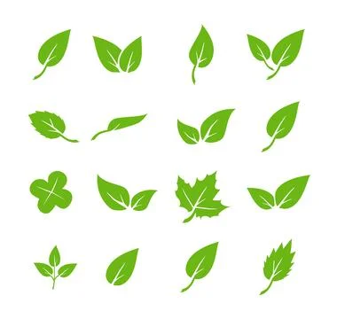 Green leaf icons set. Elements design for natural, eco, vegan. Leaves icon on 스톡 일러스트