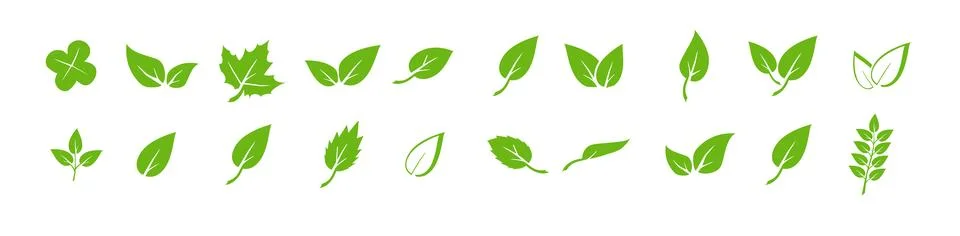 Green leaf icons set. Elements design for natural, eco, vegan. Leaves icon on Ilustración de archivo