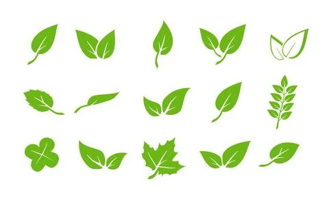 Green leaf icons set. Elements design for natural, eco, vegan. Leaves icon on Stock Illustration