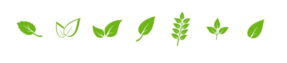 Green leaf icons set. Elements design for natural, eco, vegan. Leaves icon on 스톡 일러스트
