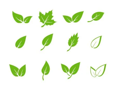 Green leaf icons set. Elements design for natural, eco, vegan. Leaves icon on 스톡 일러스트