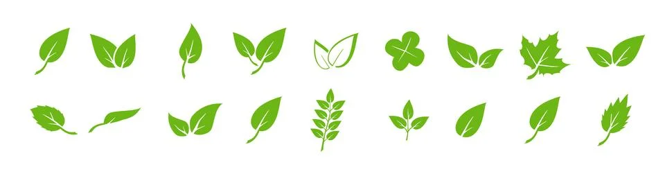 Green leaf icons set. Elements design for natural, eco, vegan. Leaves icon on Stock Illustration