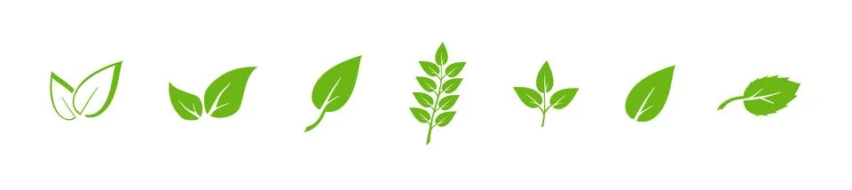 Green leaf icons set. Elements design for natural, eco, vegan. Leaves icon on 스톡 일러스트