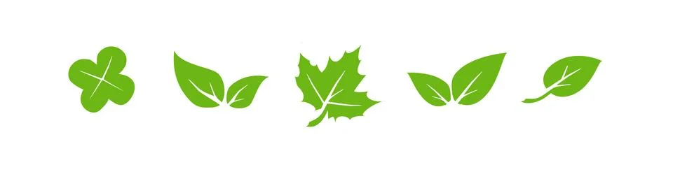 Green leaf icons set. Elements design for natural, eco, vegan. Leaves icon on Stock Illustration
