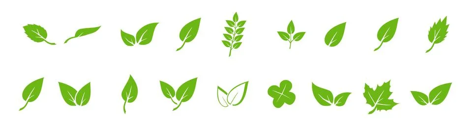 Green leaf icons set. Elements design for natural, eco, vegan. Leaves icon on Stock Illustration