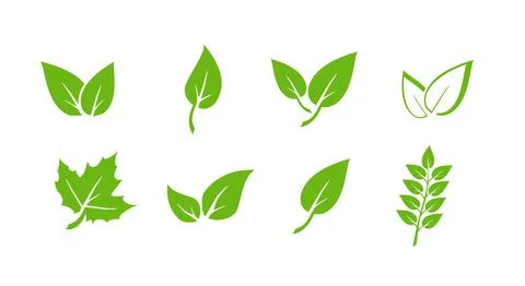 Green leaf icons set. Elements design for natural, eco, vegan. Leaves icon on Stock Illustration