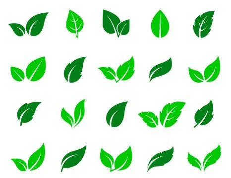 Green leaf icons set Stock Illustration