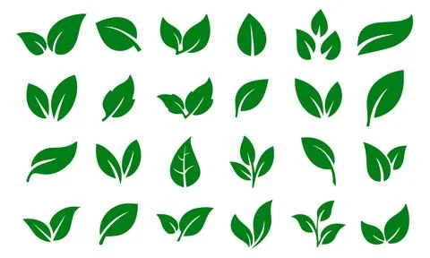 Green leaf icons set. Leaves icon on isolated background. Collection green .. Stock Illustration