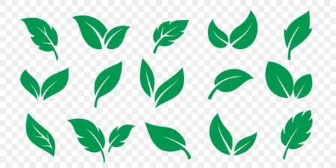 Green leaf icons set on white background. Vector vegetarian, vegan, eco and o Stock Illustration