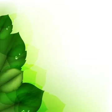 Green leaf Stock Illustration