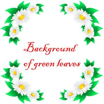 Green leaf Stock Illustration