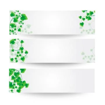 Green leaf Stock Illustration