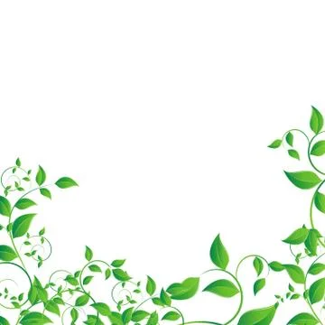 Green leaf Stock Illustration