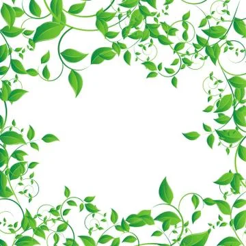 Green leaf Stock Illustration