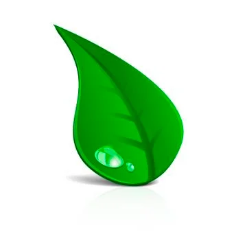 Green leaf Stock-Illustration