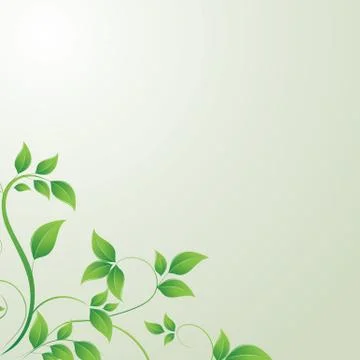 Green leaf Stock Illustration