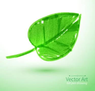 Green leaf Stock Illustration