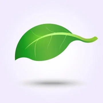 Green leaf Stock Illustration
