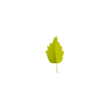 Green leaf Stock Illustration