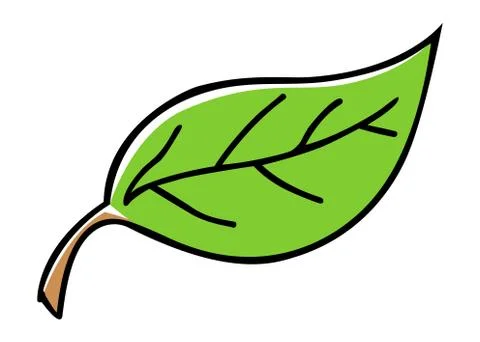 Green Leaf Stock Illustration
