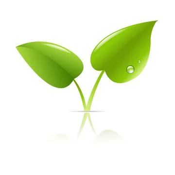 Green Leaf Stock Illustration