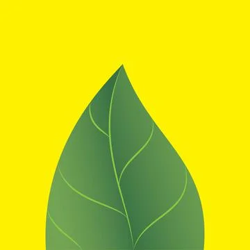 Green leaf Stock Illustration