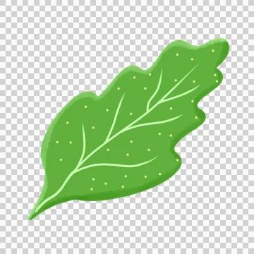 Green leaf Stock Illustration