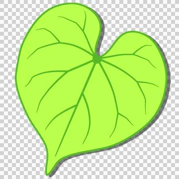 Green leaf Illustration