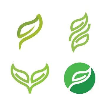 Green leaf illustration Stock Illustration