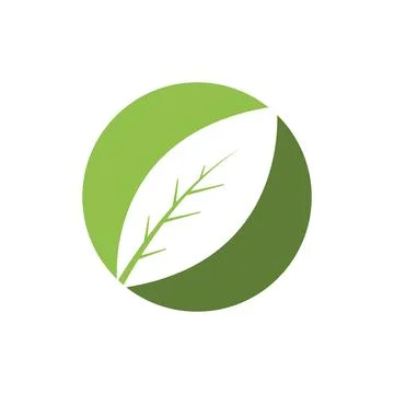 Green leaf illustration 스톡 일러스트