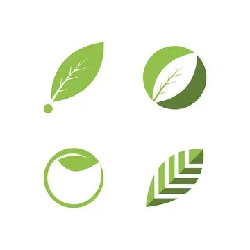 Green leaf illustration Stock Illustration