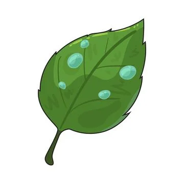 Green leaf illustration Stock Illustration