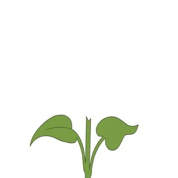 Green leaf illustration on white background Stock Illustration