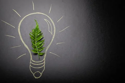 Green leaf inside lightbulb hand-drawn on black chalk board copy space Stock Photos