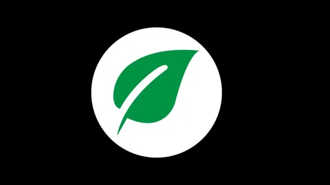 Green leaf inside white circle icon Stock Footage 332042436