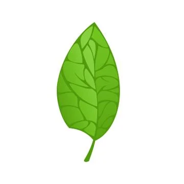 Green Leaf Isolated Stock-Illustration