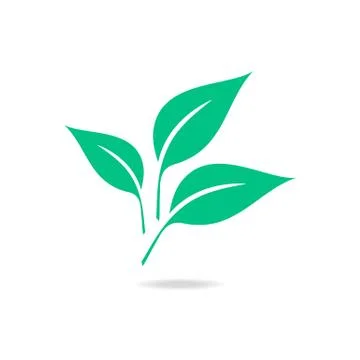 Green leaf isolated on white background. Stock Illustration