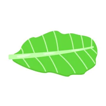 Green leaf isolated on white background. Flat design. Vector illustration. Illustrazione stock