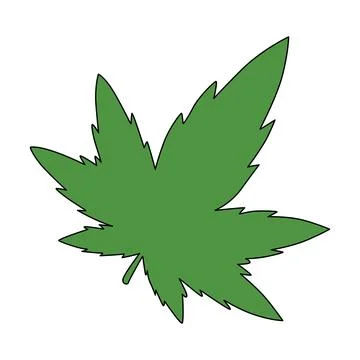 Green leaf isolated on a white background Stock Illustration