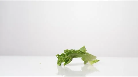 Green Leaf Lettuce Leaves Bouncing Slow Motion White Tabletop Closeup Macro Stock Footage 335005866