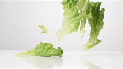 Green Leaf Lettuce Leaves Bouncing Slow Motion White Tabletop Closeup Macro Stock Footage 335006130