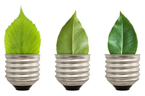 Green leaf light bulb Stock Illustration