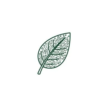 Green leaf line art drawing illustration on white background 스톡 일러스트