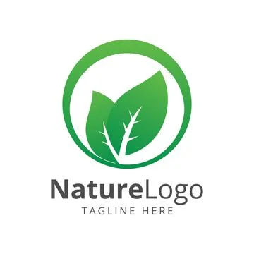 Green leaf logo design Stock Illustration