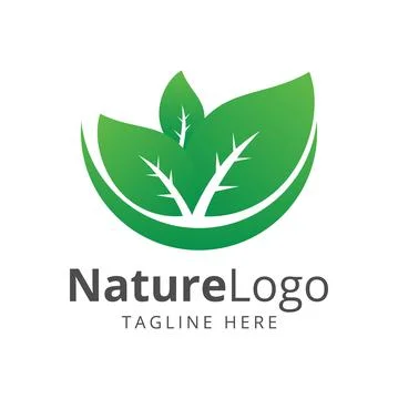 Green leaf logo design Stock Illustration