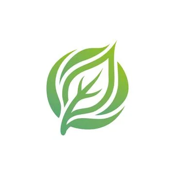 Green Leaf Logo Design for Organic and Eco Business Brand Stock Illustration